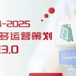 2024拼多多运营策略蜕变3.0