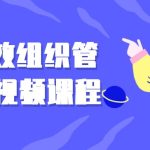 国外动物美食纪录片解说实战课