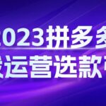 2023拼多多实战运营选款引爆